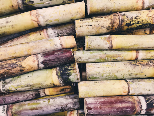 Directly above view of sugarcane stems