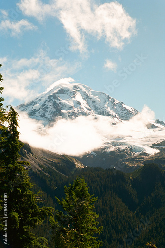 Front view of mountain in forest