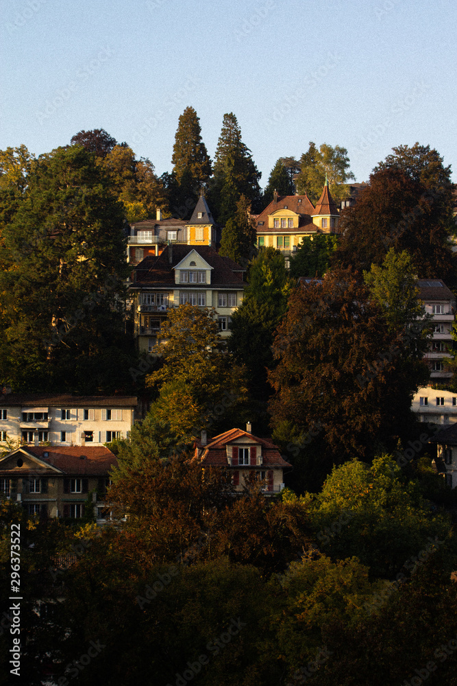 Houses in midst of trees in mountain town Houses in midst of trees in mountain town