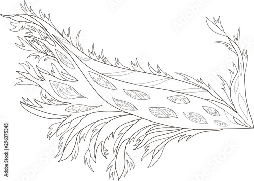 Coloring of firebird