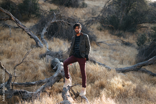 Portrait of man standing on fallen tree