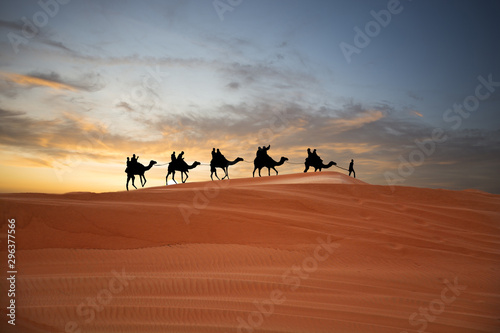 Camel caravan in the desert at sunset traveling through sand dunes