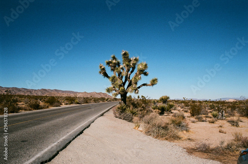 Highway stretches through desert
