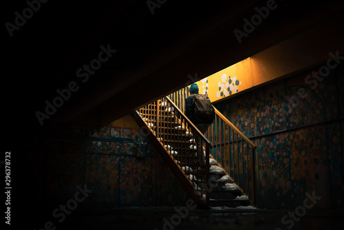 Rear view of man climbing up stairs