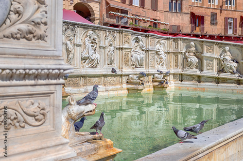 Fonte Gaia (Fountain of Joy)in Siena. Italy, Europe © Francesco 