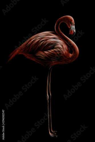 Różowy flaming. Ręcznie rysowane, artystyczny, kwiecisty obraz flaminga ptaka na czarnym tle.