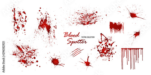 Set of various blood or paint splatters isolated on white background. Happy Halloween decoration,horrible blood drops, creepy splash, spot.Vector illustration photo