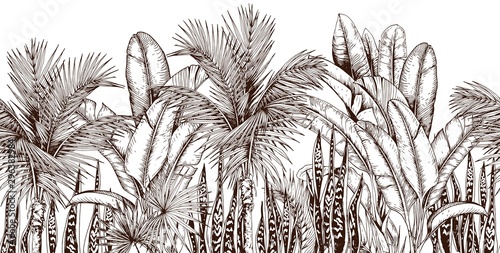 Seamless border with palm trees and snake plants. Sketchy tropical leaves. Hand drawn vector illustration.