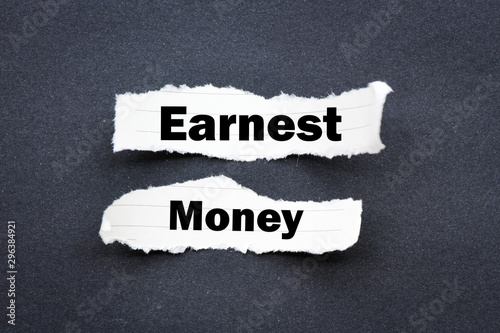 Принти на полотні Earnest money business text concept