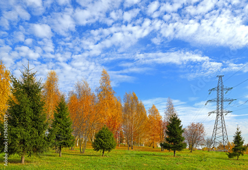 Golden bright autumn in Mitino Landscape Park. Moscow, Russia