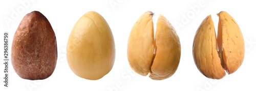 Process of growing avocado on white background
