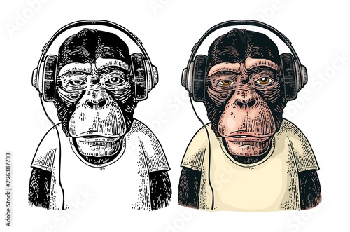 Monkey dressed t-shirt hear headphones. Vintage color engraving