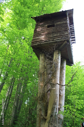 old cottage on pillars in the forest