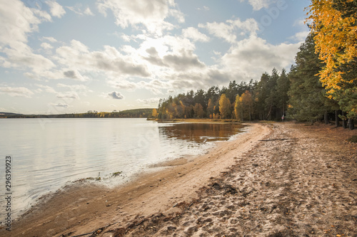 Fototapeta Naklejka Na Ścianę i Meble -  Shores on the lake at Djuprämen in Sweden in the light of sunset with sandy beach and forests in autumn colors and blue sky with scattered clouds