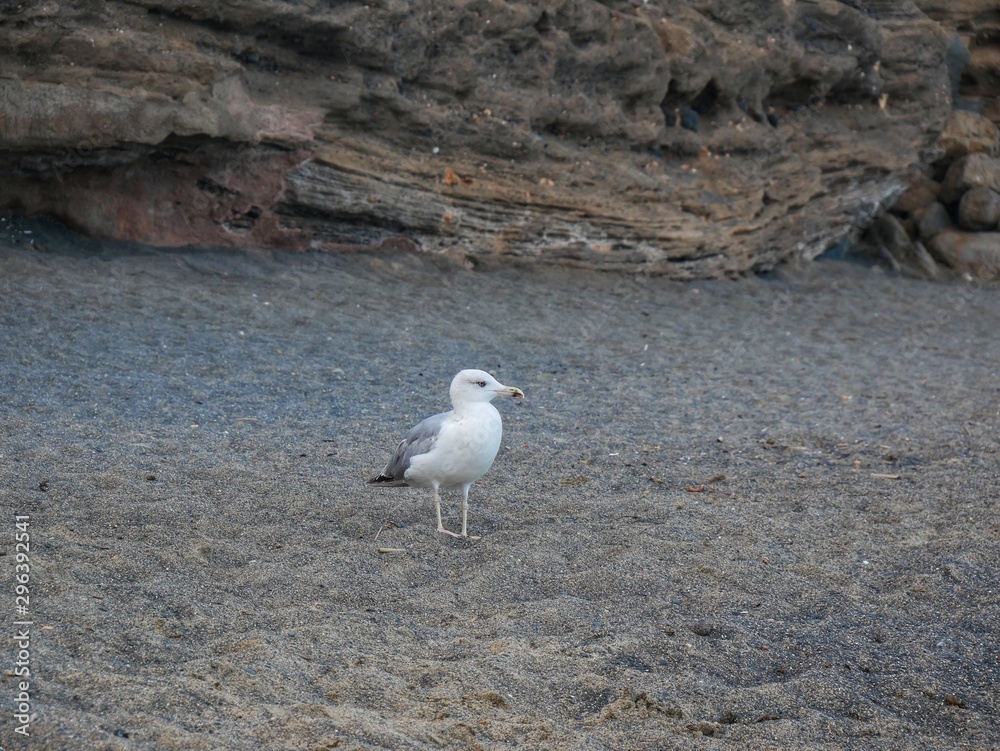 Fototapeta premium cap d'agde