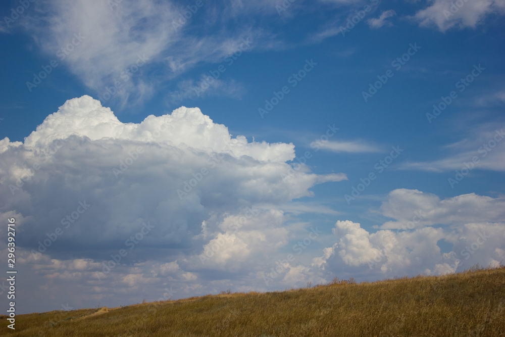 Landscape blue clouds grass field and horizon - background Landscape blue clouds grass field and horizon - background