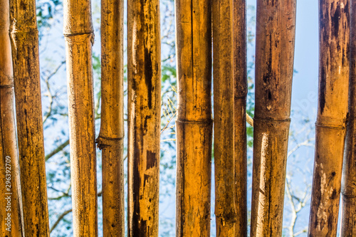 C  digo de Bambu