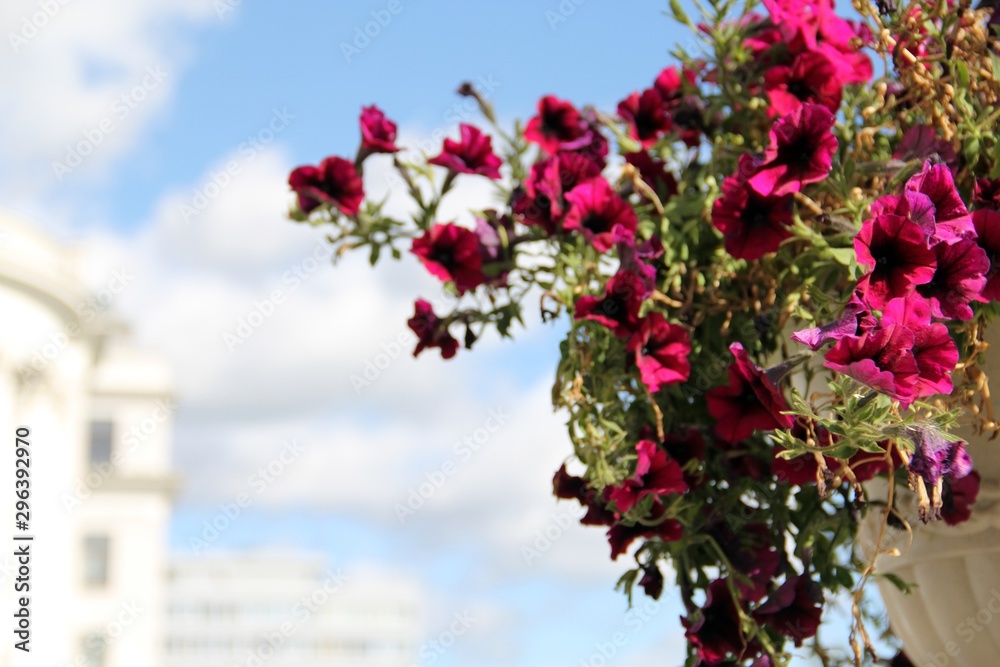 Decorative vase Decorative vase