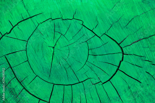 Green mint painted ply wood. Natural Wooden texture