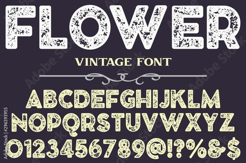 flower font typeface vector design