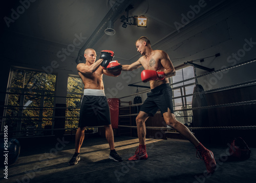 Two brutal sporty boxers have a sparring on boxing ring at dark gym.