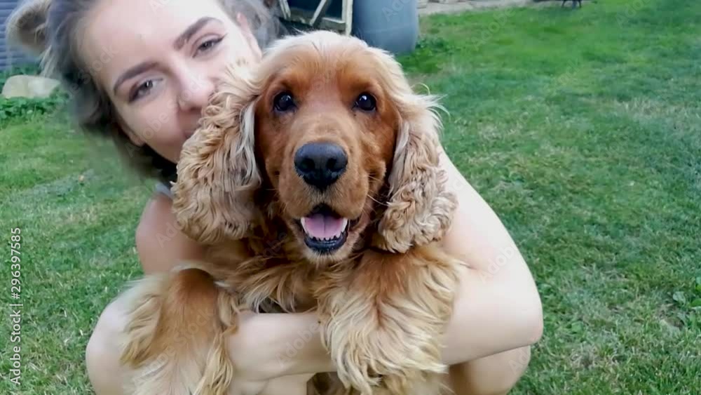 Young girl hugging English Cocker Spaniel dog on a green lawn