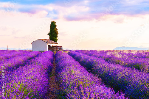 Small house in lavender fields at sunrise near Valensole, Provence, France. Beautiful summer landscape. Famous travel destination photo