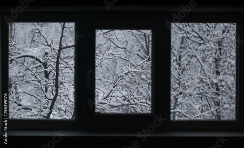 Snowy trees outside the window in winter