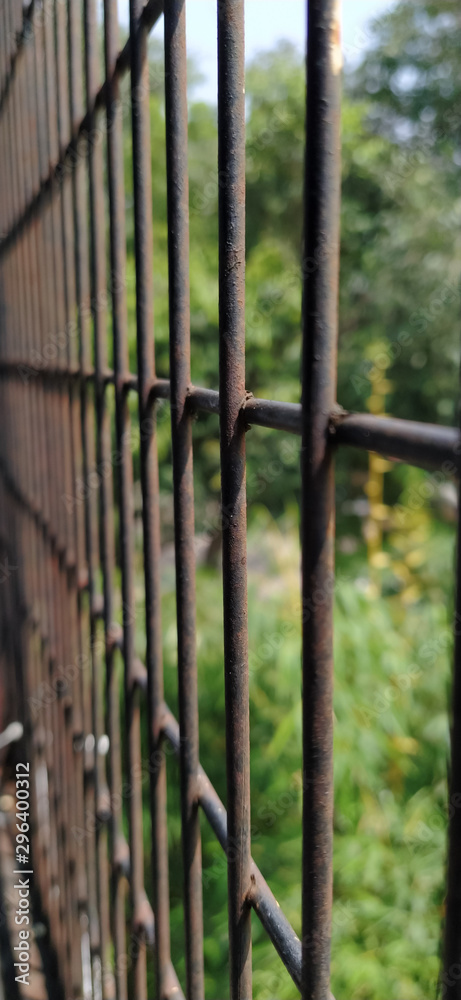 old metal fence of garden old metal fence of garden