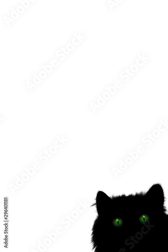 Black cat with green eyes i...