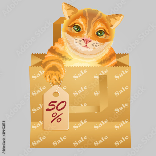 Red kitten in a paper bag. Discount and sale. Isolated vector illustration.