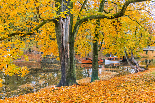Autumn in central public park in Riga - capital of Latvia, Europe