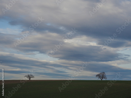 Landscape cloudy sky and silhouettes of trees