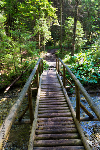 Pedestrian wooden bridge over the mountain river in forest