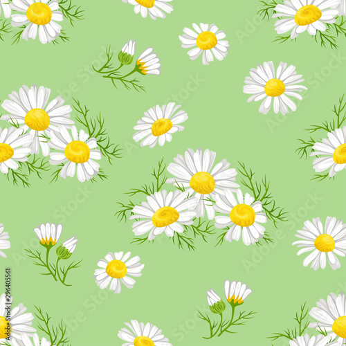 Seamless pattern with camomiles on a green background. Vector illustration of white flowers in cartoon simple flat style.