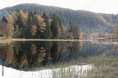 Symmetrical reflection of trees and mountains in the autumn lake