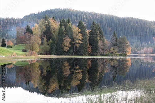 Symmetrical reflection of trees and mountains in the autumn lake