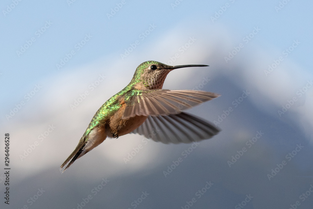 Fototapeta premium Mountain Lady