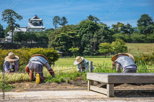 gardener at work