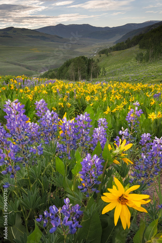 East River Valley photo