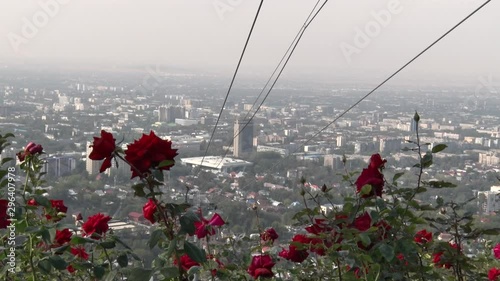 Cable Car over City. Cabs of the cable car move towards each other on the background of the big city. Red roses grow in front of the cable car