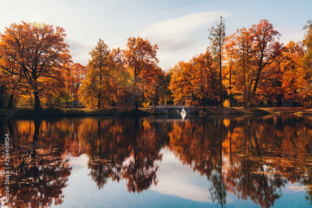 Naklejka premium Fall in the park. Red, yellow and green autumn trees near small lake or pond