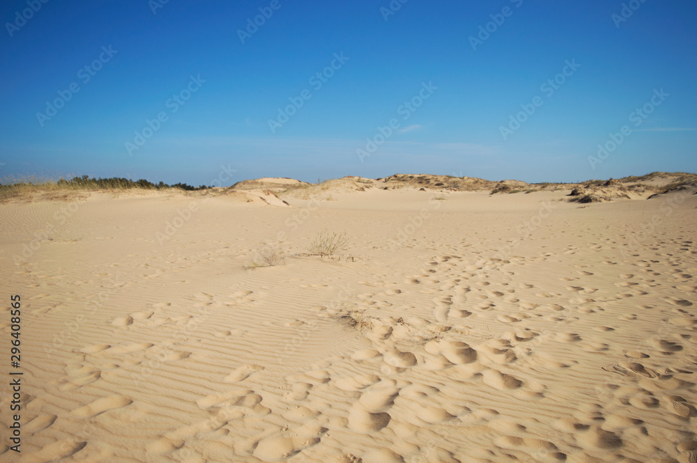 Oleshky Sands on a blue sky in the Kherson region in Ukraine, the largest desert in Europe