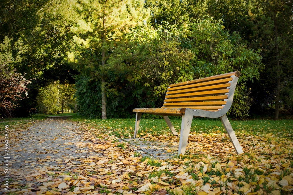 Autumn background, empty bench outside in park at autumn evening.