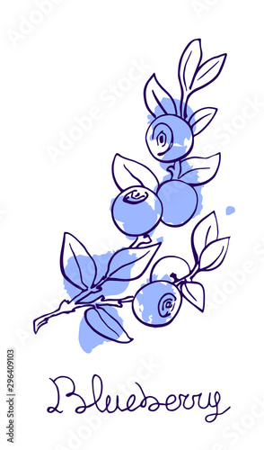 Blueberry hand drawn graphics elements,stylized color sketch, blue blot