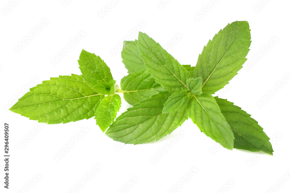 Fresh mint leaves isolated on white background Fresh mint leaves isolated on white background