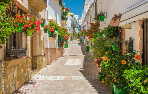 The beautiful Estepona  little and flowery town in the province of Malaga  Spain.