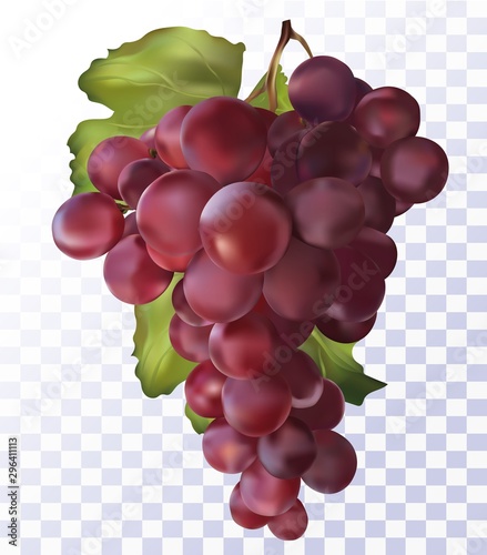 Fresh red grapes on transparent background. 3D realistic grapes.Wine red grapes. Food concept. Vector illustration