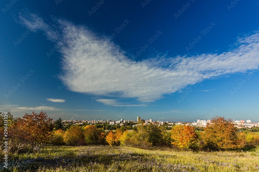 Colorful autumn landscape with a meadow, violet aster flowers, yellow and orange trees and a capital city of the Czech Republic, Prague, in distance. Bright sunny day, blue sky and white clouds.