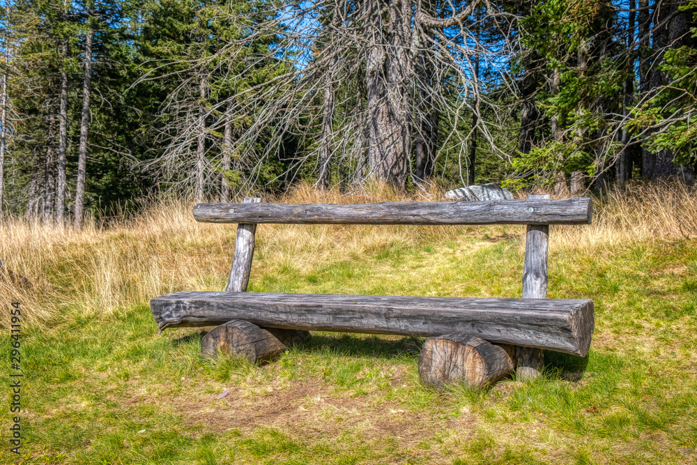 Wooden bench in the woods, sunnz meadow and trees in background Wooden bench in the woods, sunnz meadow and trees in background